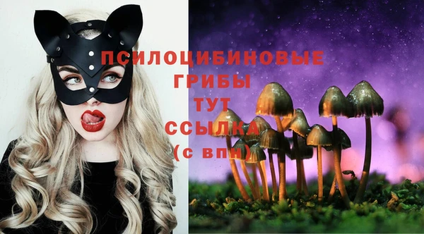 стаф Видное